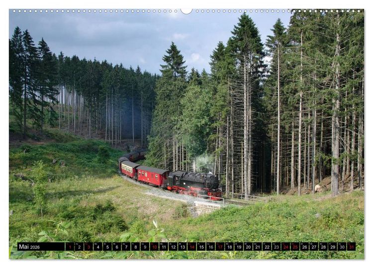 Produktbild: Schmalspurbahnen in Sachsen Anhalt (Wandkalender 2026 DIN A2 quer), CALVENDO Monatskalender