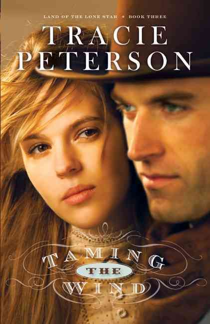 Produktbild: Taming the Wind