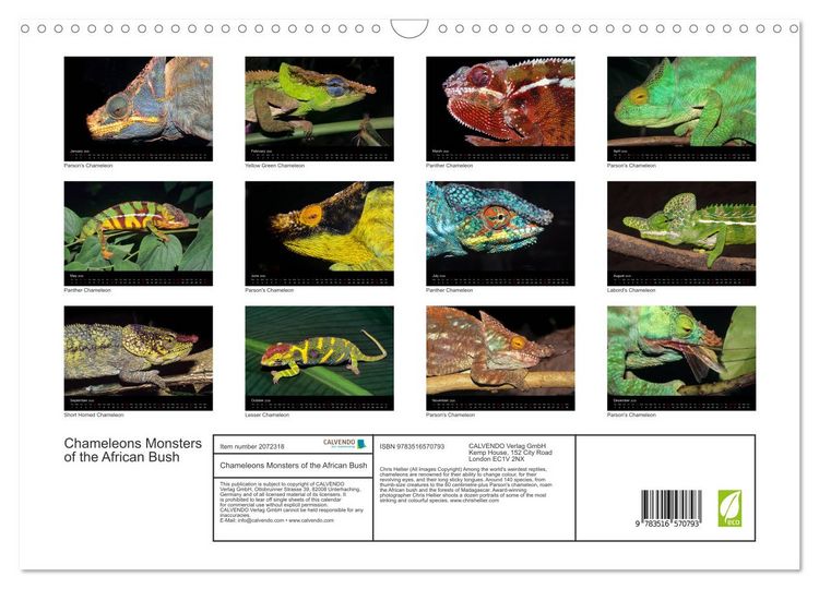 Produktbild: Chameleons Monsters of the African Bush (Wall Calendar 2026 DIN A3 landscape), CALVENDO 12 Month Wall Calendar