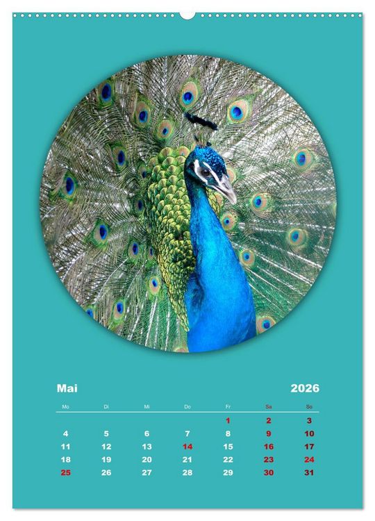 Produktbild: Rundherum Natur (hochwertiger Premium Wandkalender 2026 DIN A2 hoch), Kunstdruck in Hochglanz