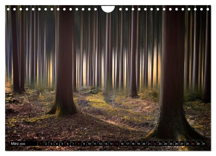 Produktbild: Zauberhafter Sachsenwald (Wandkalender 2026 DIN A4 quer), CALVENDO Monatskalender