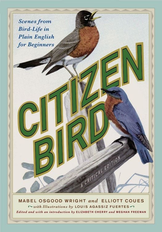 Produktbild: Citizen Bird