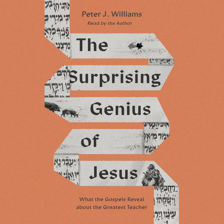Produktbild: The Surprising Genius of Jesus