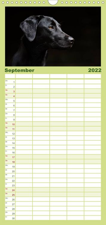Produktbild: Familienplaner Labrador Trio - 3 Farben, 3 Freunde (Wandkalender 2022 , 21 cm x 45 cm, hoch)