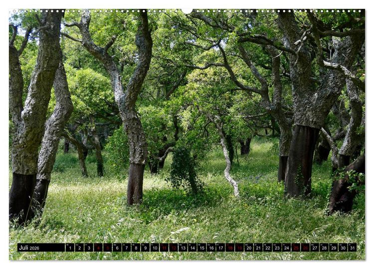 Produktbild: Sardinien - Der Norden (Wandkalender 2026 DIN A2 quer), CALVENDO Monatskalender