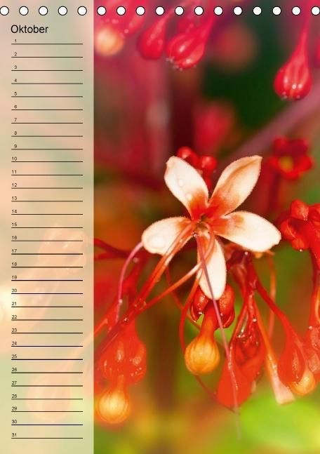 Produktbild: Immerw&auml;hrender Geburtstagskalender - Bl&uuml;tentr&auml;ume (Tischkalender immerw&auml;hrend DIN A5 hoch)