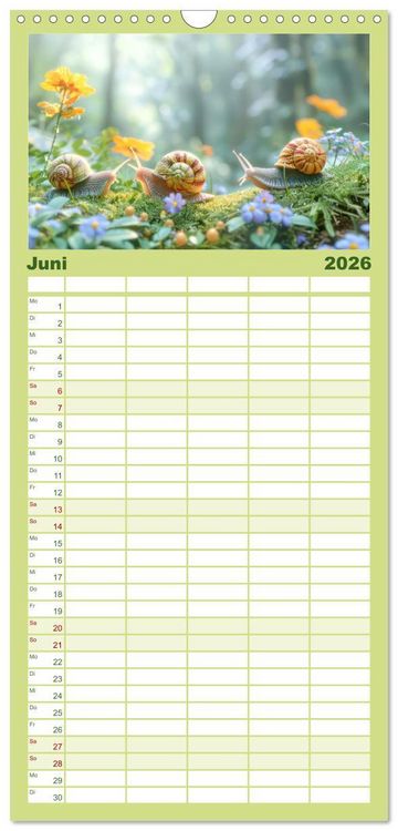Produktbild: Familienplaner 2026 - Eine Welt entz&uuml;ckend kleiner Tierchen mit 5 Spalten (Wandkalender, 21 x 45 cm) CALVENDO