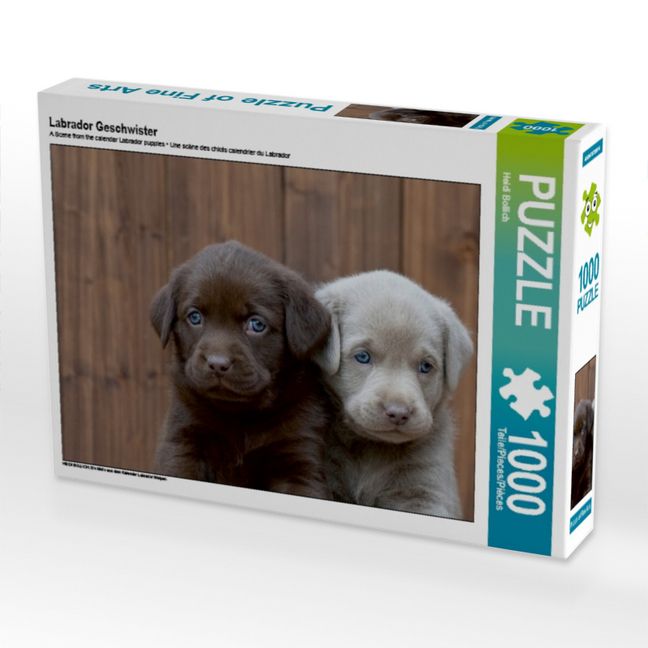Produktbild: CALVENDO Puzzle Labrador Geschwister | 1000 Teile Lege-Gr&ouml;&szlig;e 64x48cm Foto-Puzzle f&uuml;r gl&uuml;ckliche Stunden