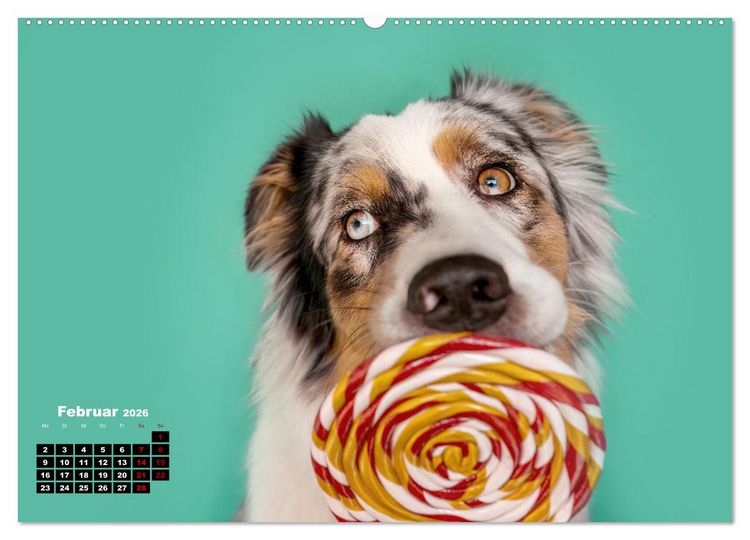 Produktbild: S&uuml;&szlig;e Schnauzen (Wandkalender 2026 DIN A2 quer), CALVENDO Monatskalender