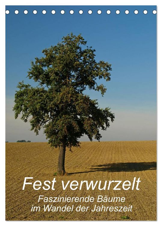 Produktbild: Fest verwurzelt - Faszinierende B&auml;ume im Wandel der Jahreszeit (Tischkalender 2026 DIN A5 hoch), CALVENDO Monatskalender