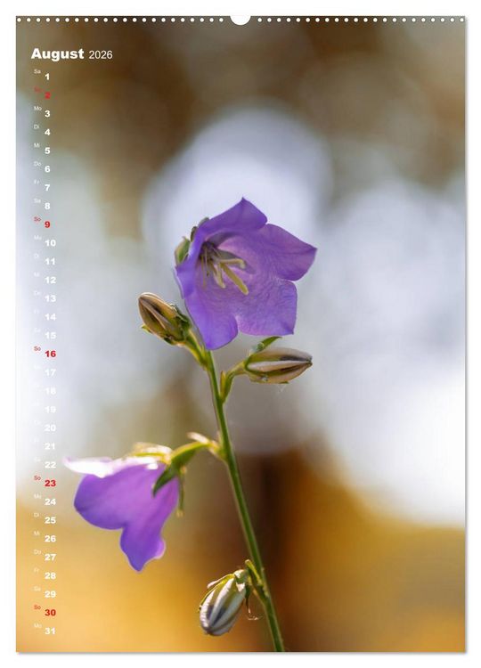 Produktbild: Colors of Nature (Wandkalender 2026 DIN A2 hoch), CALVENDO Monatskalender