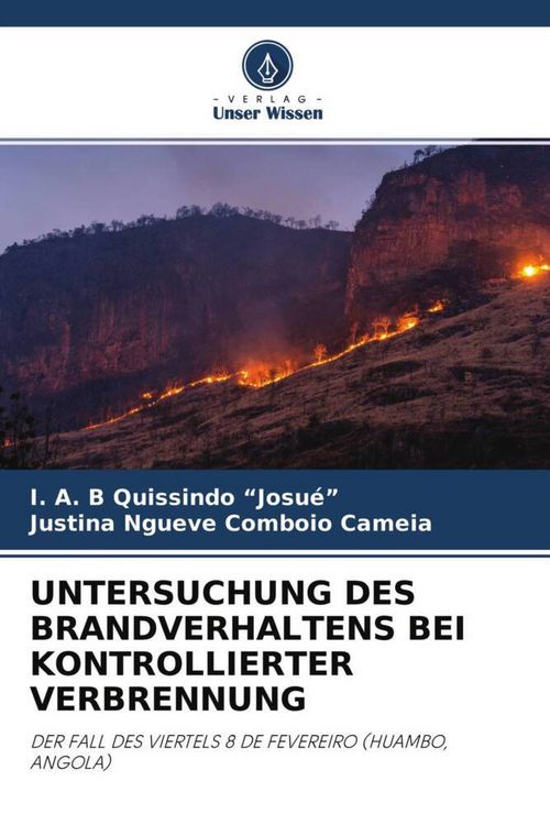 Produktbild: Untersuchung des Brandverhaltens bei Kontrollierter Verbrennung