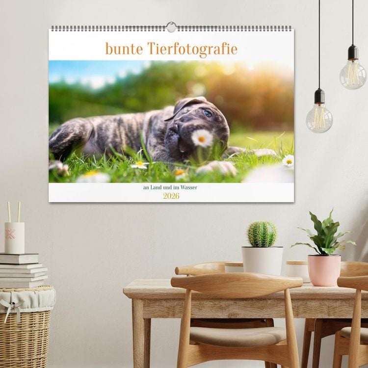 Produktbild: bunte Tierfotografie an Land und im Wasser (Wandkalender 2026 DIN A2 quer), CALVENDO Monatskalender