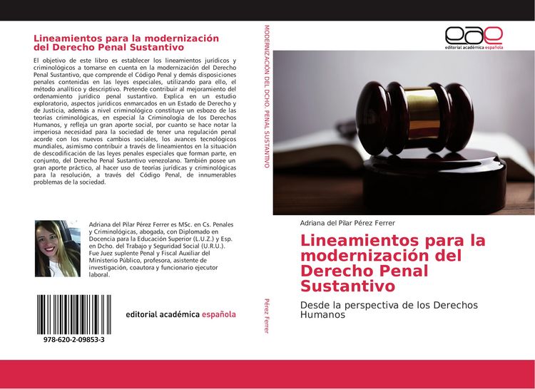 Produktbild: Lineamientos para la modernizaci&oacute;n del Derecho Penal Sustantivo