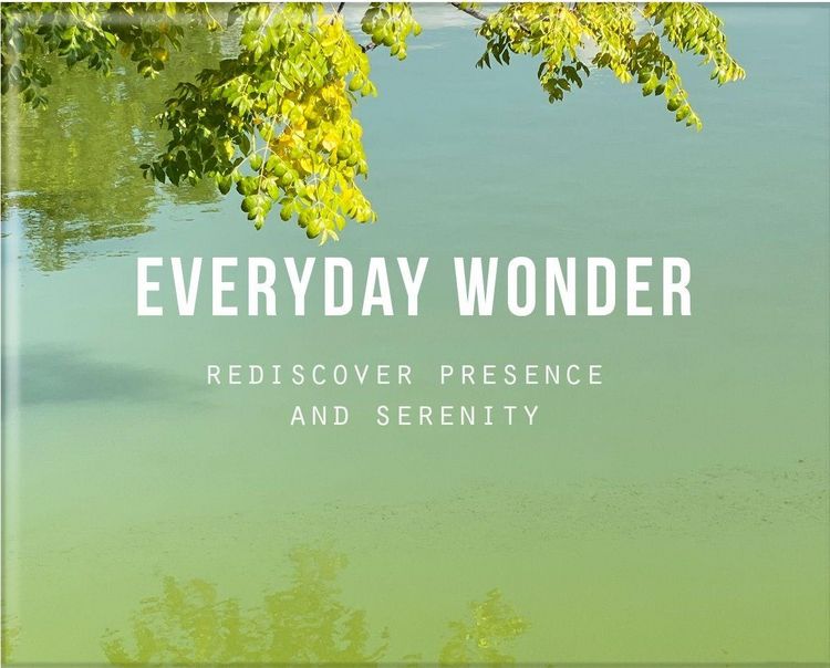Produktbild: Everyday Wonder