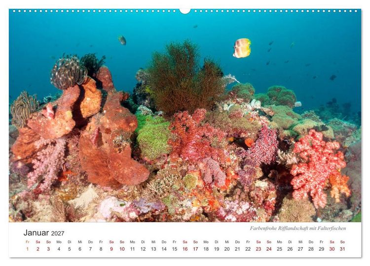 Produktbild: Unterwasser - eine bunte Welt (hochwertiger Premium Wandkalender 2027 DIN A2 quer), Kunstdruck in Hochglanz