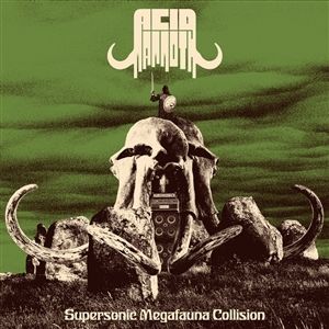 Produktbild: Supersonic Megafauna Collision