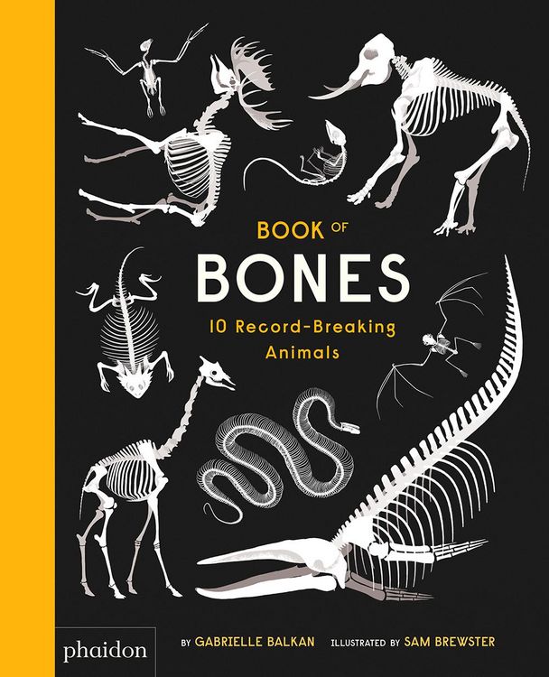 Produktbild: Book of Bones