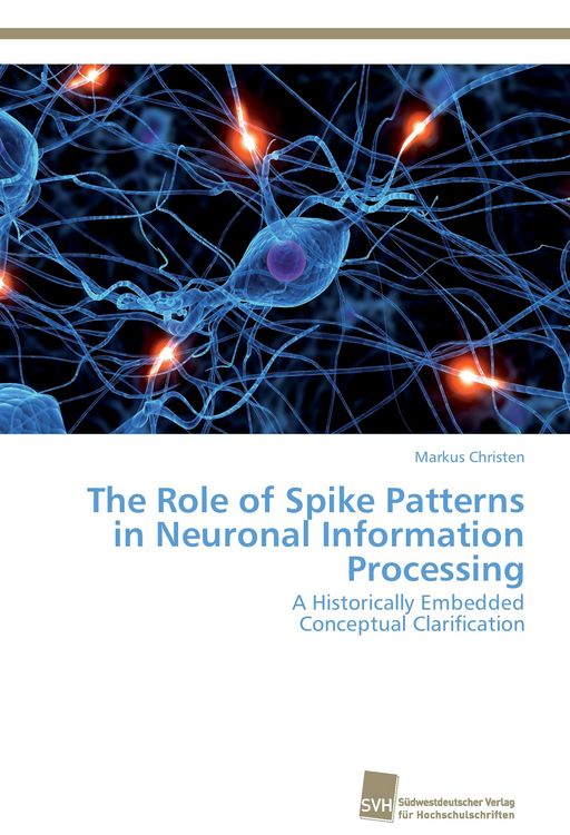 Produktbild: The Role of Spike Patterns in Neuronal Information Processing