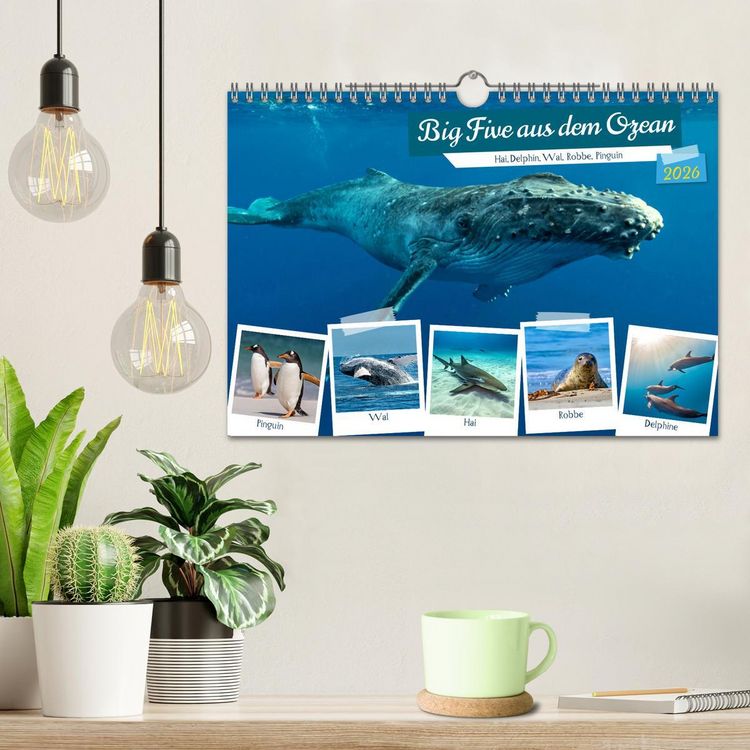 Produktbild: Big Five aus dem Ozean Hai, Delphin, Wal, Robbe, Pinguin (Wandkalender 2026 DIN A4 quer), CALVENDO Monatskalender