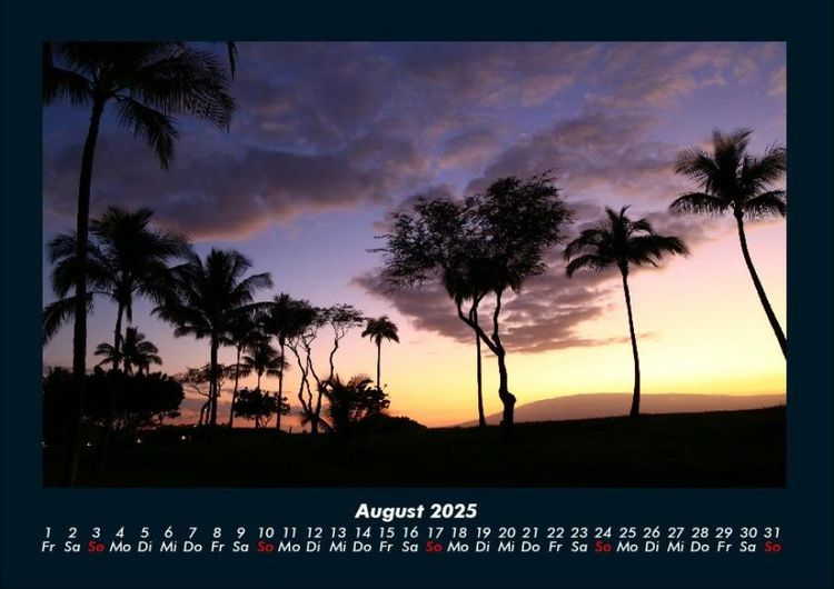 Produktbild: Palmen 2025 Fotokalender DIN A4