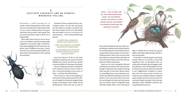 Produktbild: The Naturalist's Notebook