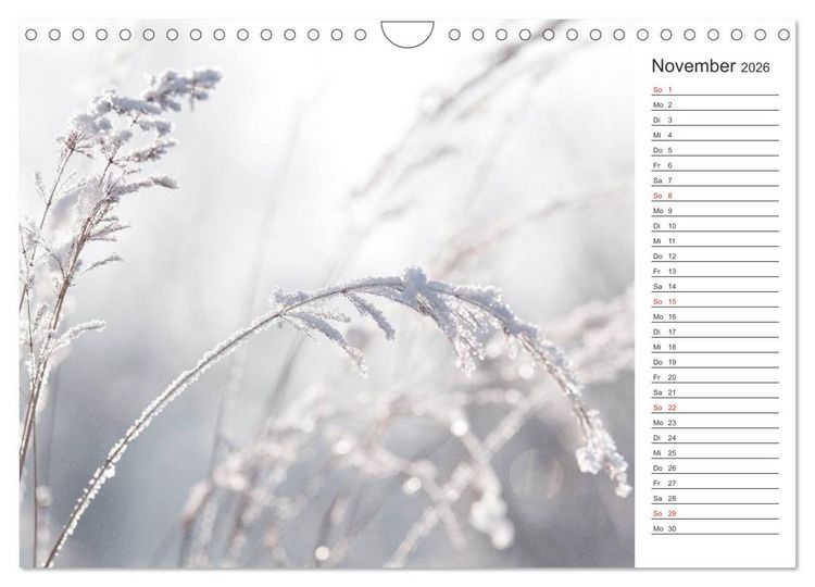 Produktbild: Blumenfreude Terminkalender (Wandkalender 2026 DIN A4 quer), CALVENDO Monatskalender