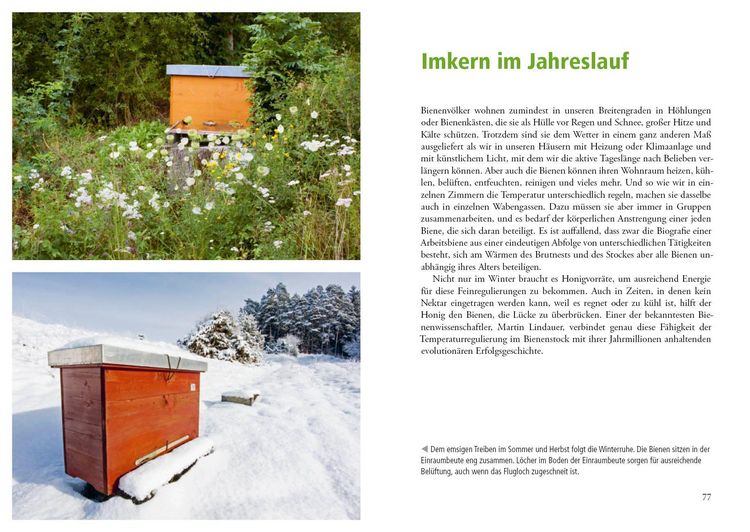 Produktbild: Imkern mit der Einraumbeute