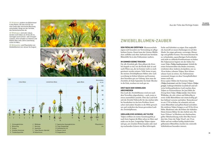 Produktbild: Mein sch&ouml;ner pflegeleichter Garten. Gewusst wie - geschickte Garten-Planung und Pflanzenauswahl
