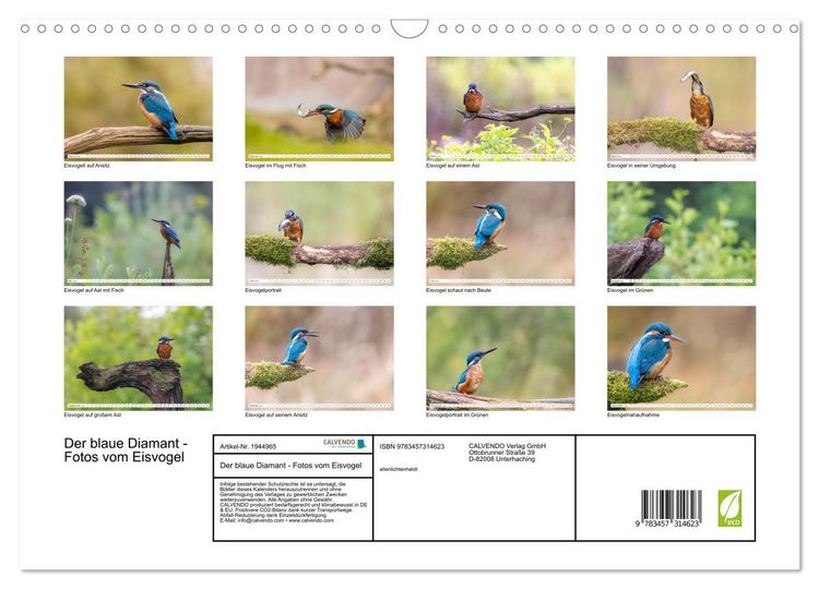 Produktbild: Der blaue Diamant - Fotos vom Eisvogel (Wandkalender 2026 DIN A3 quer), CALVENDO Monatskalender