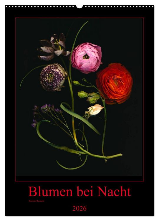 Produktbild: Blumen bei Nacht (Wandkalender 2026 DIN A2 hoch), CALVENDO Monatskalender