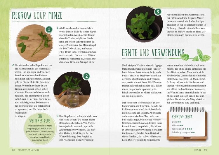 Produktbild: Regrow your veggies