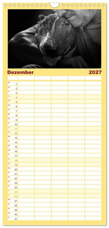 Produktbild: Familienplaner 2027 - Bullterrier mit 5 Spalten (Wandkalender, 21 x 45 cm) CALVENDO