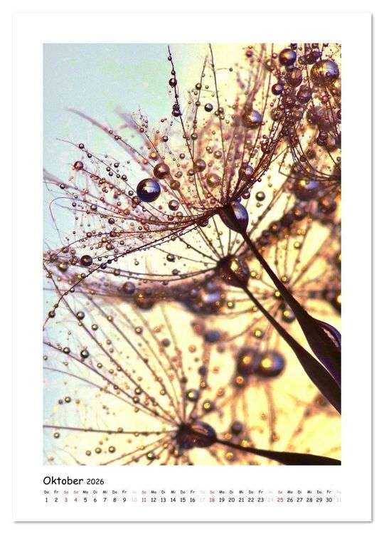 Produktbild: Die Pusteblume neu erleben (Wandkalender 2026 DIN A3 hoch), CALVENDO Monatskalender