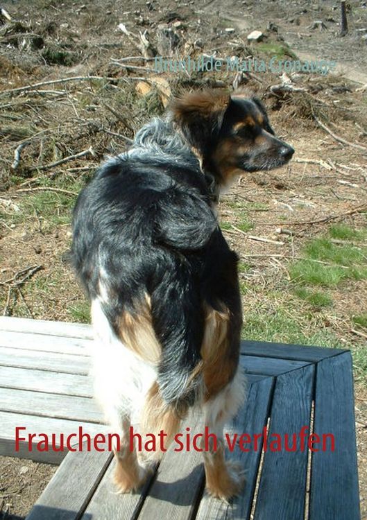 Produktbild: Frauchen hat sich verlaufen