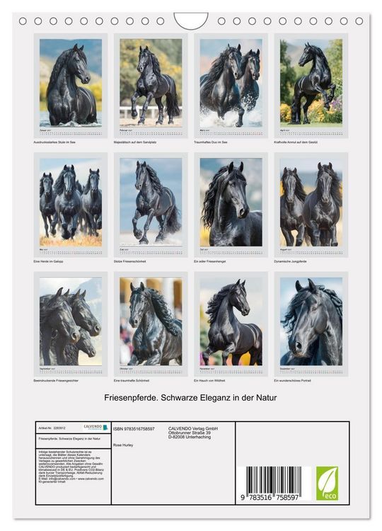 Produktbild: Friesenpferde. Schwarze Eleganz in der Natur (Wandkalender 2027 DIN A4 hoch), CALVENDO Monatskalender