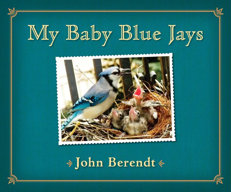 Produktbild: My Baby Blue Jays
