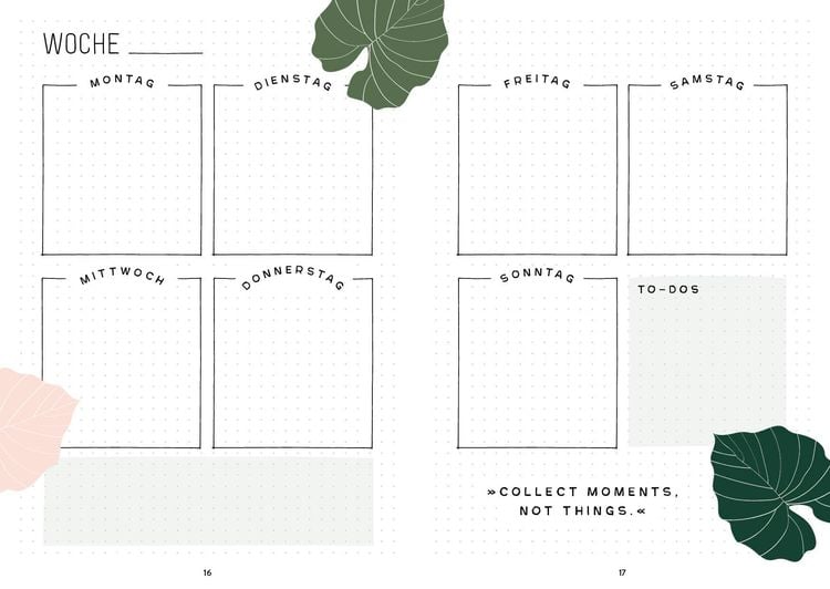 Produktbild: Mein Bullet Journal (Jungle Edition) – Besser planen & Träume verwirklichen