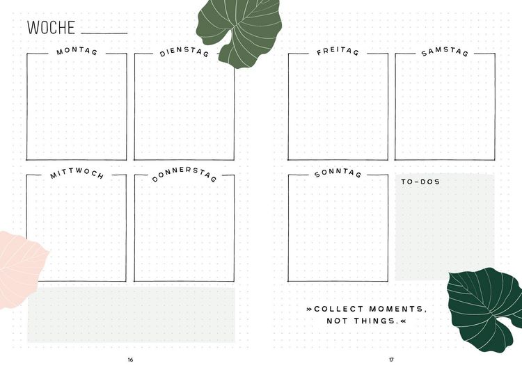 Produktbild: Mein Bullet Journal (Jungle Edition) &ndash; Besser planen & Tr&auml;ume verwirklichen