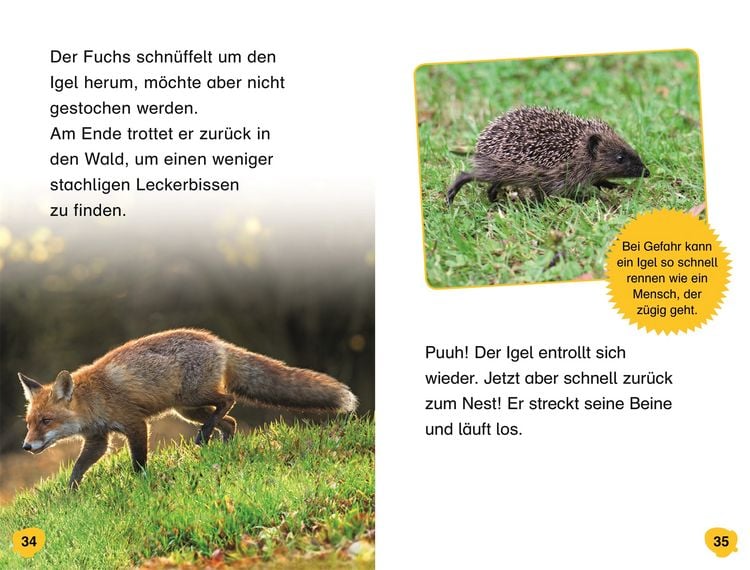 Produktbild: Superleser! Hallo, Igel!