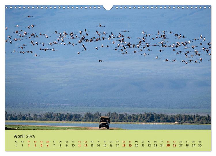 Produktbild: Gefiederte Sch&ouml;nheiten Ostafrikas (Wandkalender 2026 DIN A3 quer), CALVENDO Monatskalender