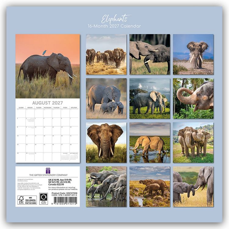 Produktbild: Elephants &ndash; Elefanten 2027 &ndash; 16-Monatskalender