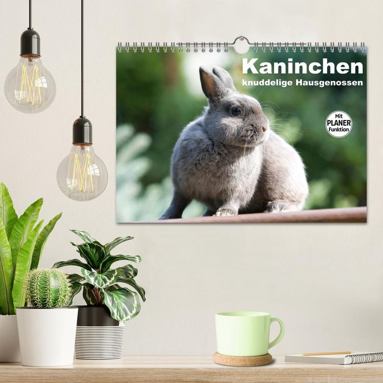 Produktbild: Kaninchen - knuddelige Hausgenossen (Wandkalender 2026 DIN A4 quer), CALVENDO Monatskalender