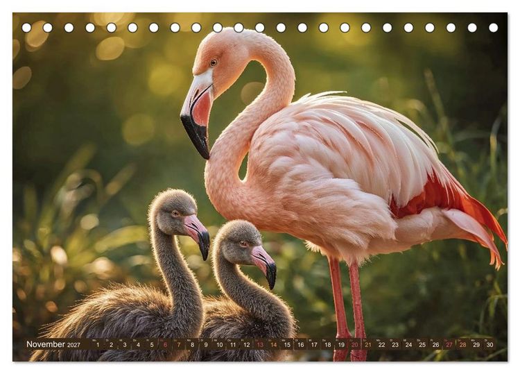 Produktbild: Tierkinder der L&uuml;fte - Vogelwelt (Tischkalender 2027 DIN A5 quer), CALVENDO Monatskalender