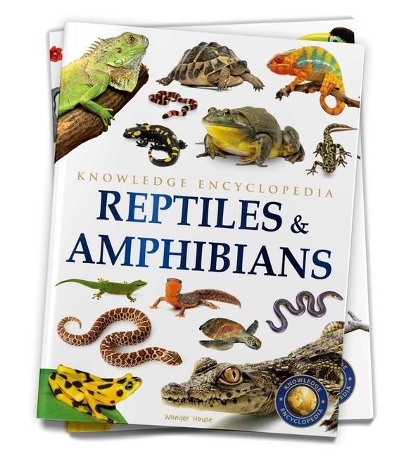 Produktbild: Animals: Reptiles and Amphibians