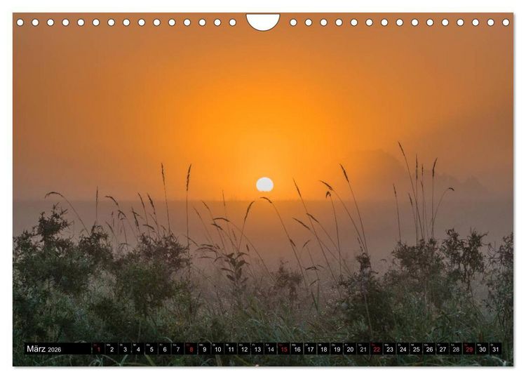 Produktbild: Immer wieder Sonnenschein (Wandkalender 2026 DIN A4 quer), CALVENDO Monatskalender