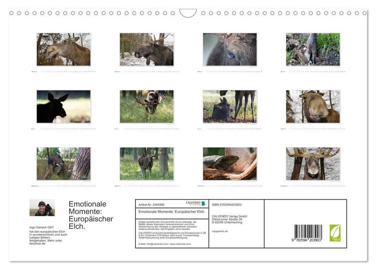 Produktbild: Emotionale Momente: Europ&auml;ischer Elch. (Wandkalender 2027 DIN A3 quer), CALVENDO Monatskalender