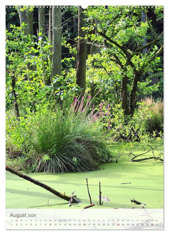 Produktbild: Im Nationalpark Jasmund - Naturwunder auf der Ostseeinsel R&uuml;gen (hochwertiger Premium Wandkalender 2026 DIN A2 hoch), Kunstdruck in Hochglanz