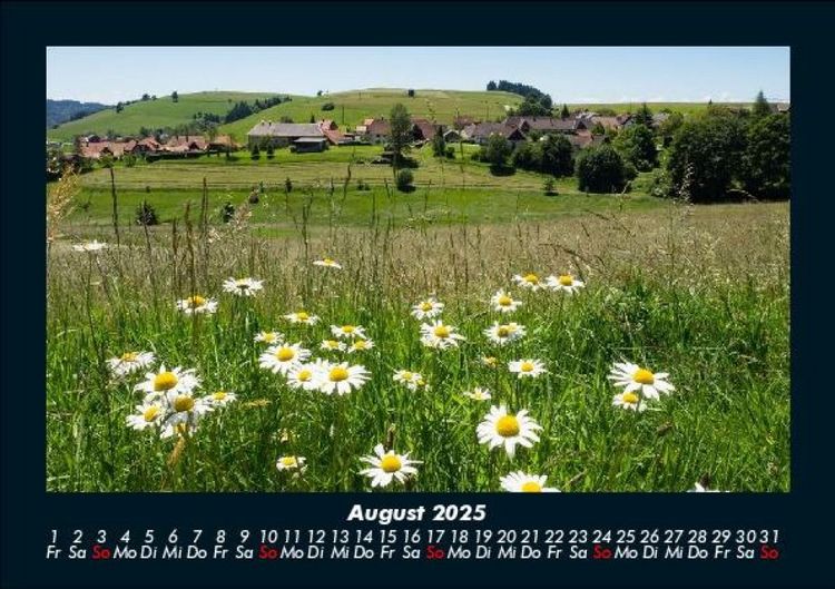 Produktbild: Blumenzauber 2025 Fotokalender DIN A5