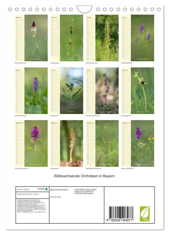 Produktbild: Wildwachsende Orchideen in Bayern (Wandkalender 2026 DIN A4 hoch), CALVENDO Monatskalender